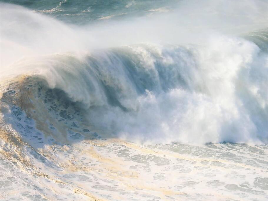 White Swell By Sitio Da Nazare Leilighet Eksteriør bilde